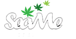 logo seame spring tree